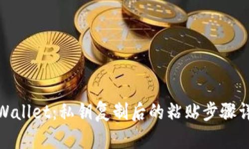 tpWallet：私钥复制后的粘贴步骤详解