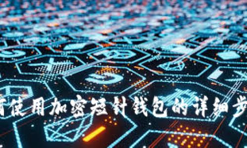 新手指南：如何使用加密短针钱包的详细步骤和实际操作
