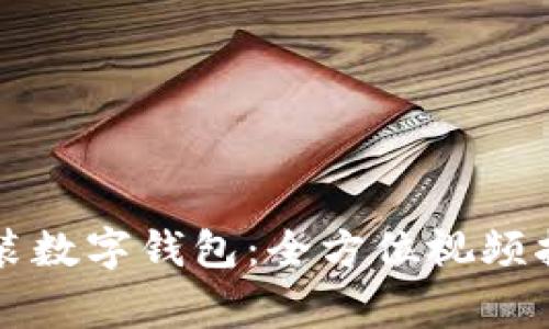 一步步教你如何安装数字钱包：全方位视频指南与常见问题解答