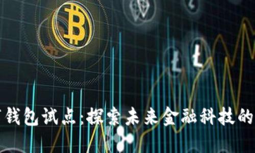 深圳数字钱包试点：探索未来金融科技的创新之路