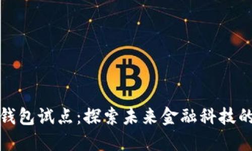深圳数字钱包试点：探索未来金融科技的创新之路