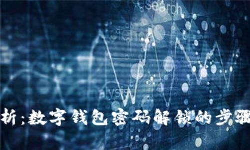 全面解析：数字钱包密码解锁的步骤与方法
