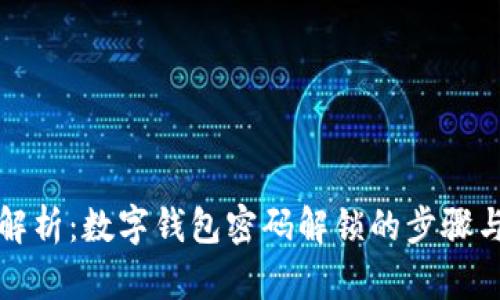 全面解析：数字钱包密码解锁的步骤与方法
