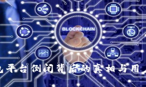 **数字钱包平台倒闭背后的真相与用户应对策略