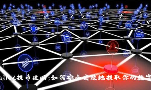 tpWallet提币攻略：如何安全高效地提取你的数字资产