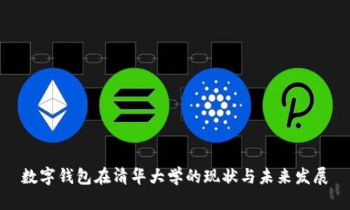 数字钱包在清华大学的现状与未来发展