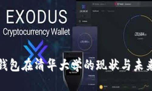 数字钱包在清华大学的现状与未来发展