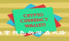 全面解析数字钱包的潜在风险与安全隐患