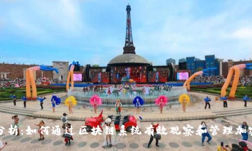 深入分析：如何通过区块链系统有效观察和管理加密钱包