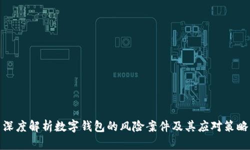 深度解析数字钱包的风险案件及其应对策略