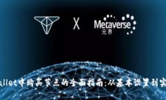 在tpWallet中购买节点的全面指南：从基本设置到实