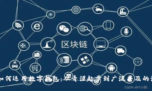 昔日如何运用数字钱包：从青涩起步到广泛普及的演变篇