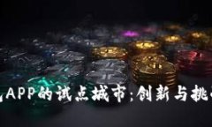 探索数字钱包APP的试点城市：创新与挑战的融合