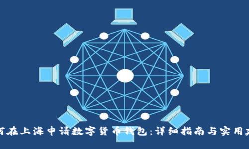 如何在上海申请数字货币钱包：详细指南与实用建议