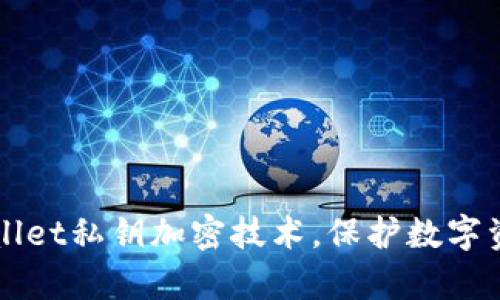 掌握tpWallet私钥加密技术，保护数字资产的安全