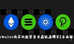 tpWallet购买的数字货币存放在哪里？全面解析