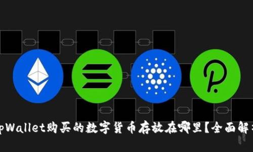 tpWallet购买的数字货币存放在哪里？全面解析