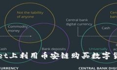 如何在tpWallet上利用币安链购买数字货币的全面指