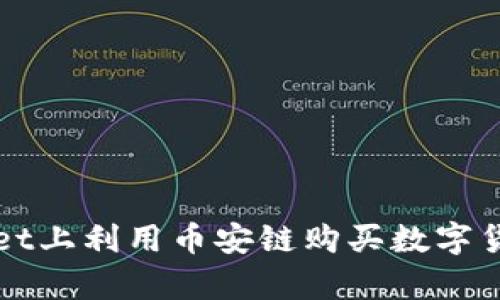 如何在tpWallet上利用币安链购买数字货币的全面指南