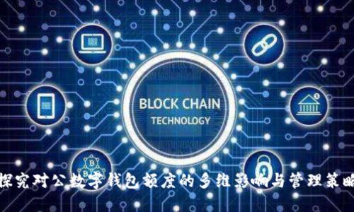 探究对公数字钱包额度的多维影响与管理策略