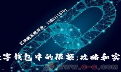 如何管理数字钱包中的限额：攻略和实际案例分析