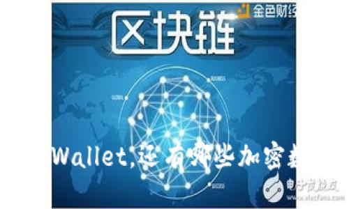 全面指南：除了tpWallet，还有哪些加密数字钱包可供选择