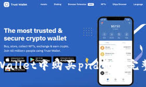 在tpWallet中购买pnd币的完整指南