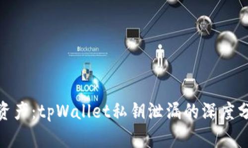 保护你的数字资产：tpWallet私钥泄漏的深度分析与防护措施