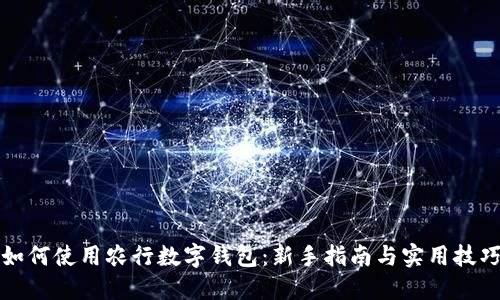 如何使用农行数字钱包：新手指南与实用技巧