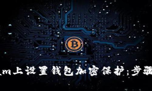 如何在Steam上设置钱包加密保护：步骤和注意事项