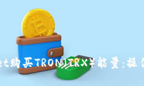 如何通过tpWallet购买TRON（TRX）能量：操作步骤与实用技巧