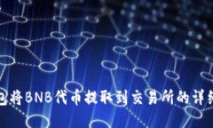 使用TP钱包将BNB代币提取到交易所的详细步骤指南