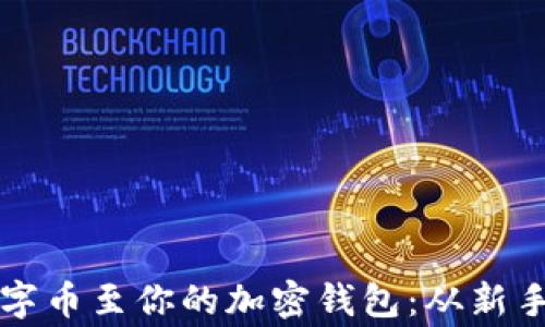 
如何选择和存入数字币至你的加密钱包：从新手到专家的完整指南