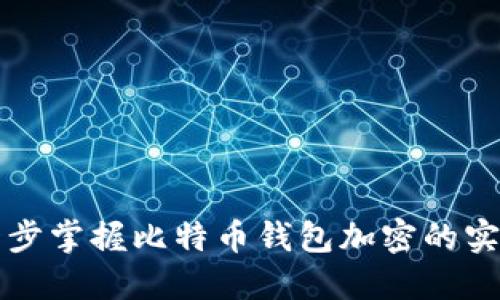 一步一步掌握比特币钱包加密的实用教程