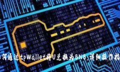 如何通过tpWallet将U兑换为BNB：详细操作指南