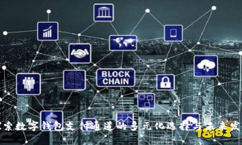 探索数字钱包支付通道的多元化选择与未来发展