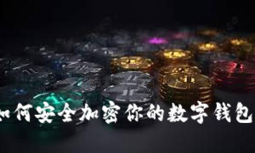 全面指南：如何安全加密你的数字钱包以保护资产