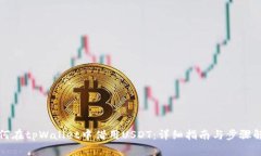 如何在tpWallet中借用USDT：详细指南与步骤解析