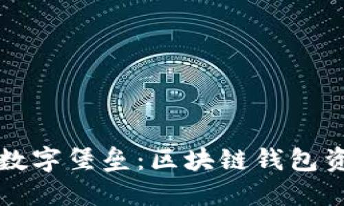 打造坚不可摧的数字堡垒：区块链钱包资产保护全面指南