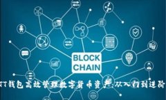 如何利用BTT钱包高效管理数字货币资产：从入门