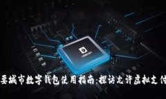 中国主要城市数字钱包使用指南：探访允许虚拟