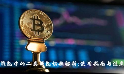 数字钱包中的二类钱包切换解析：使用指南与注意事项