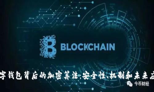 揭开数字钱包背后的加密算法：安全性、机制和未来应用展望