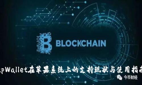 tpWallet在苹果系统上的支持现状与使用指南