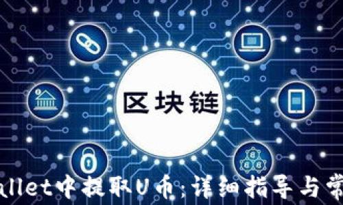 
如何在tpWallet中提取U币：详细指导与常见问题解答