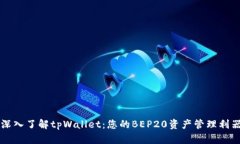 深入了解tpWallet：您的BEP20资产管理利器