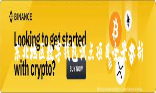 东北地区数字钱包试点项目全景分析