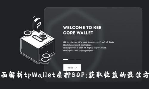 全面解析tpWallet质押BDP：获取收益的最佳方式