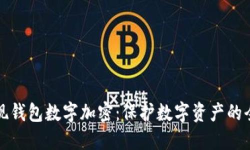 如何实现钱包数字加密：保护数字资产的全面指南