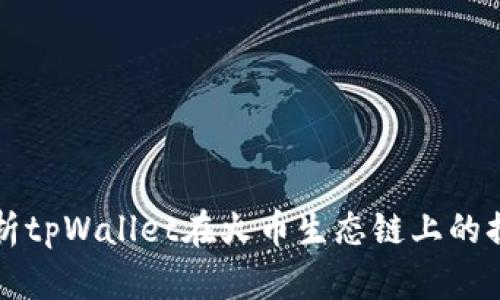 全面解析tpWallet在火币生态链上的换币功能